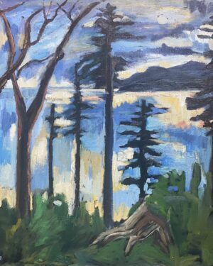 Ferguson Point at Sunset