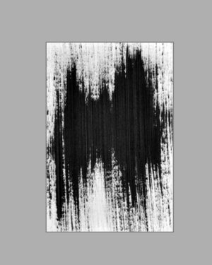 The Bat / La chauve-souris