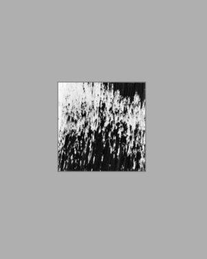 Ride into the Sunset / ChevauchÃ©e au soleil couchant