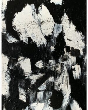 Peau noire, masques blancs -N2