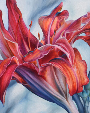 L’hÃ©mÃ©rocallle Pacifique