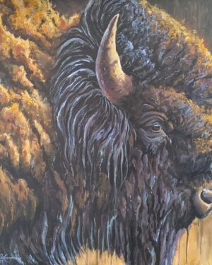 Bison d’AmÃ©rique