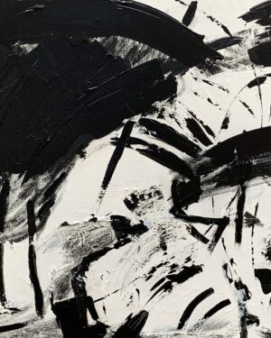 Peau noire, masques blancs -N5